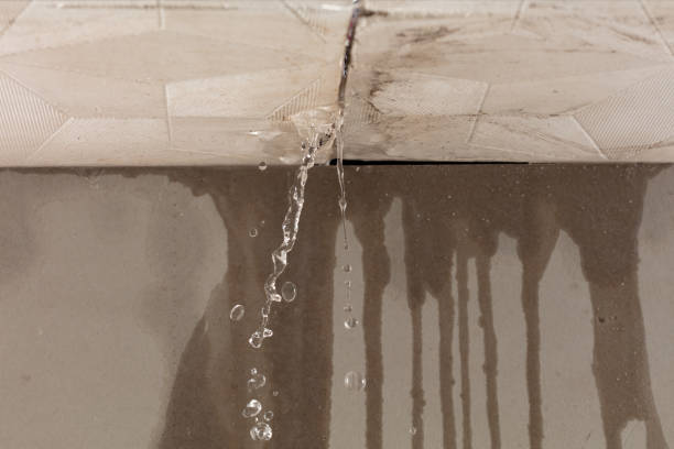 Professional Burst Pipe Cleanup technician working in Raywood, TX